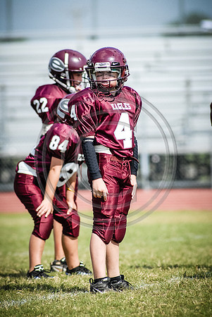 PJ1_9463