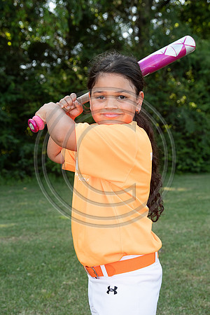 014MCP_2485