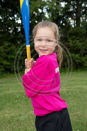 013MCP_2336
