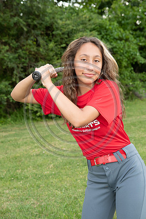 056MCP_2451