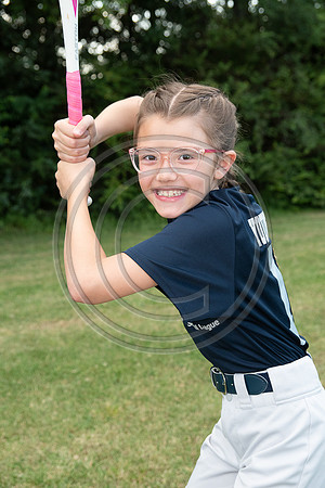 056MCP_2528