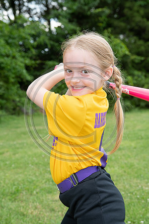 033MCP_2424
