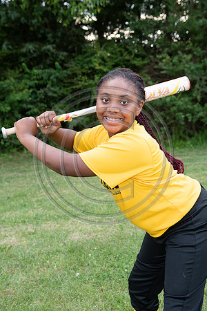 039MCP_2431