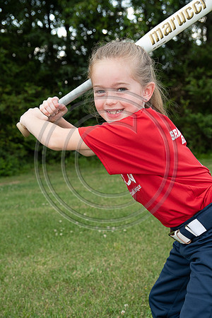 008MCP_2331