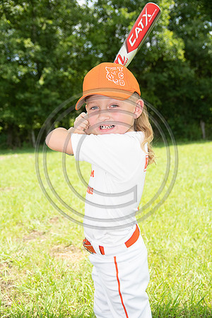 019MCP_3356