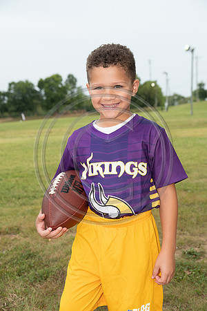 013MCP_3695
