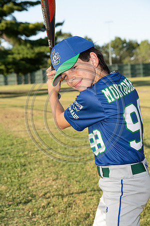 033MCP_4393